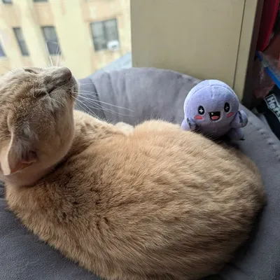 Durable Execution Supervisor